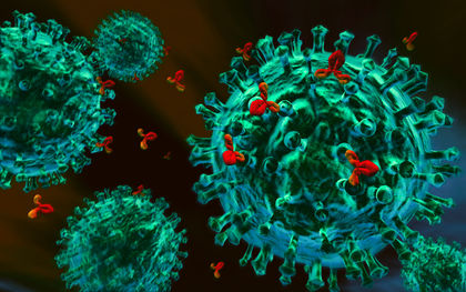 3d antikörper gegen virus